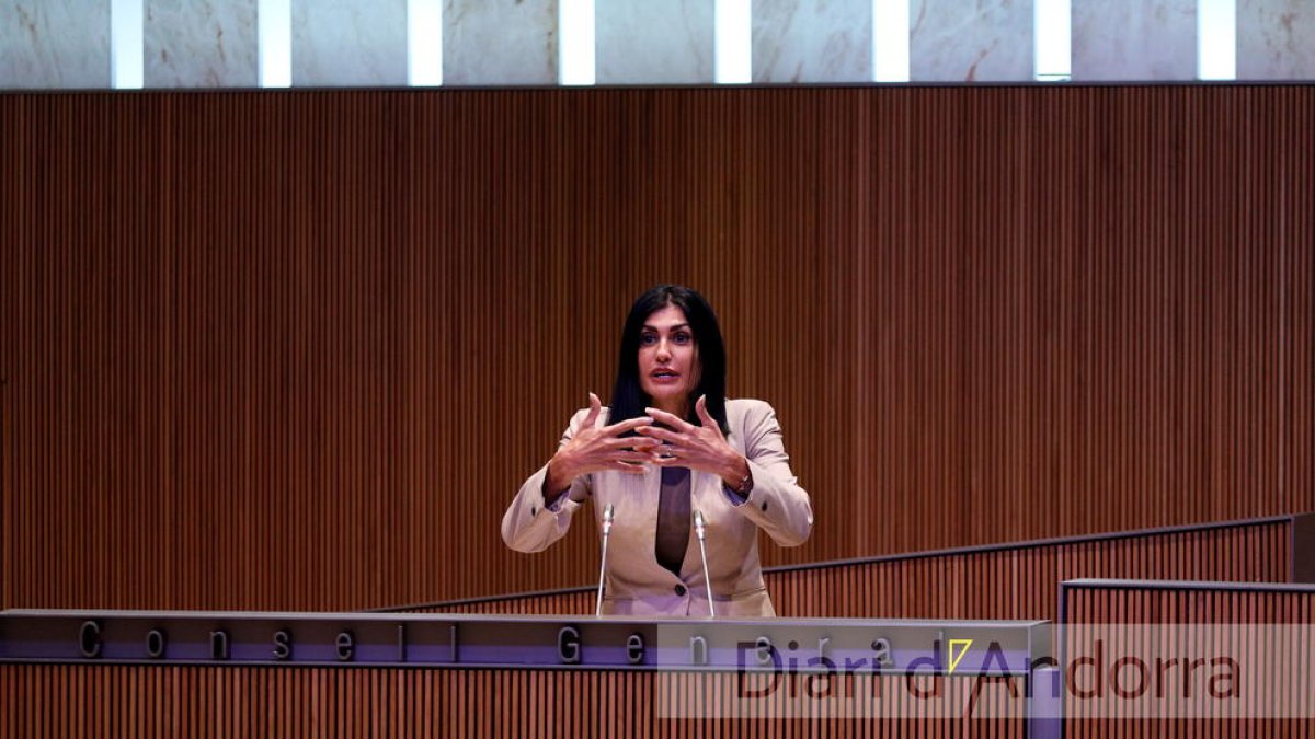 Carine Montaner al Consell General