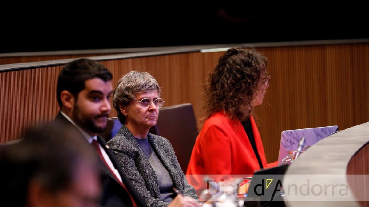 Pere Baró en una sessió de Consell General