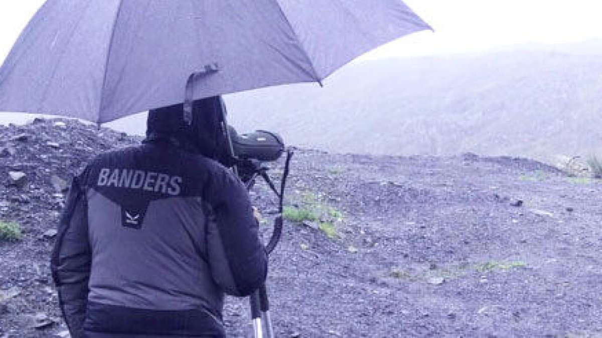 Un bander fent tasques de vigilància.