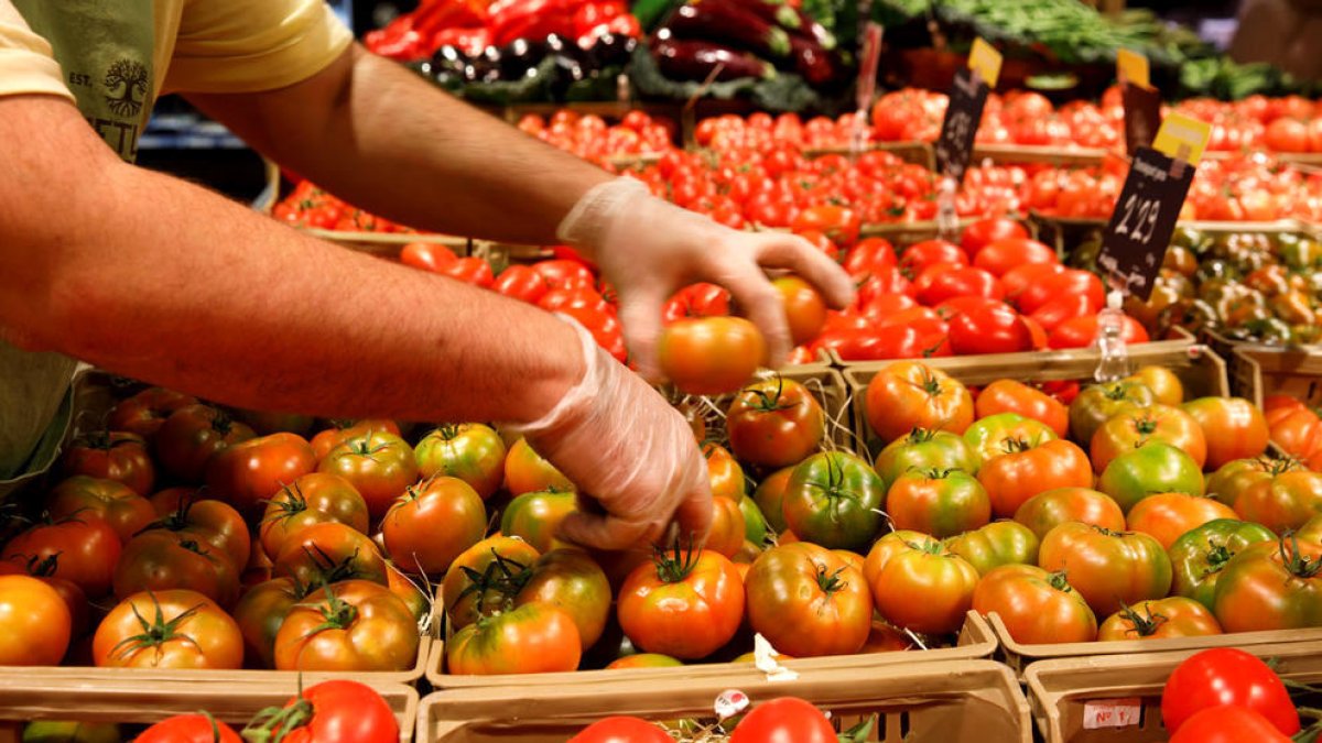 Tomàquets en un supermercat del Principat.
