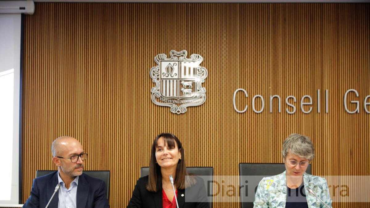 La ministra Mònica Bonell avui en la compareixença al Consell