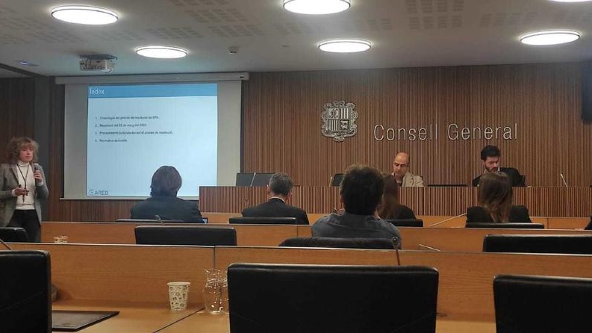 Sílvia Cunill durant la compareixença avui en comissió al Consell General