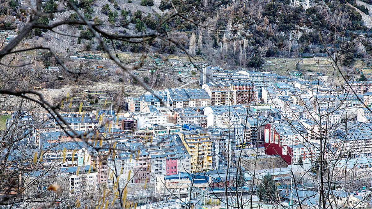 Els propietaris consideren que no s'hauria d'haver fet una intervenció al sector.