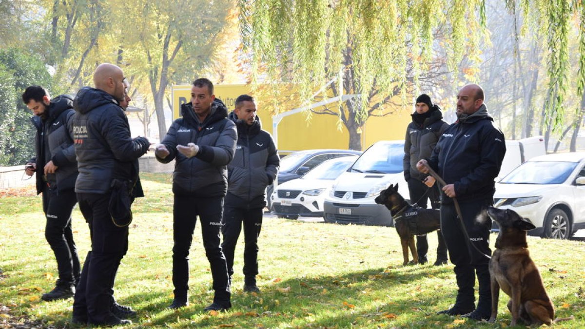 Policies andorrans i mossos han simulat una intervenció conjunta a la Seu