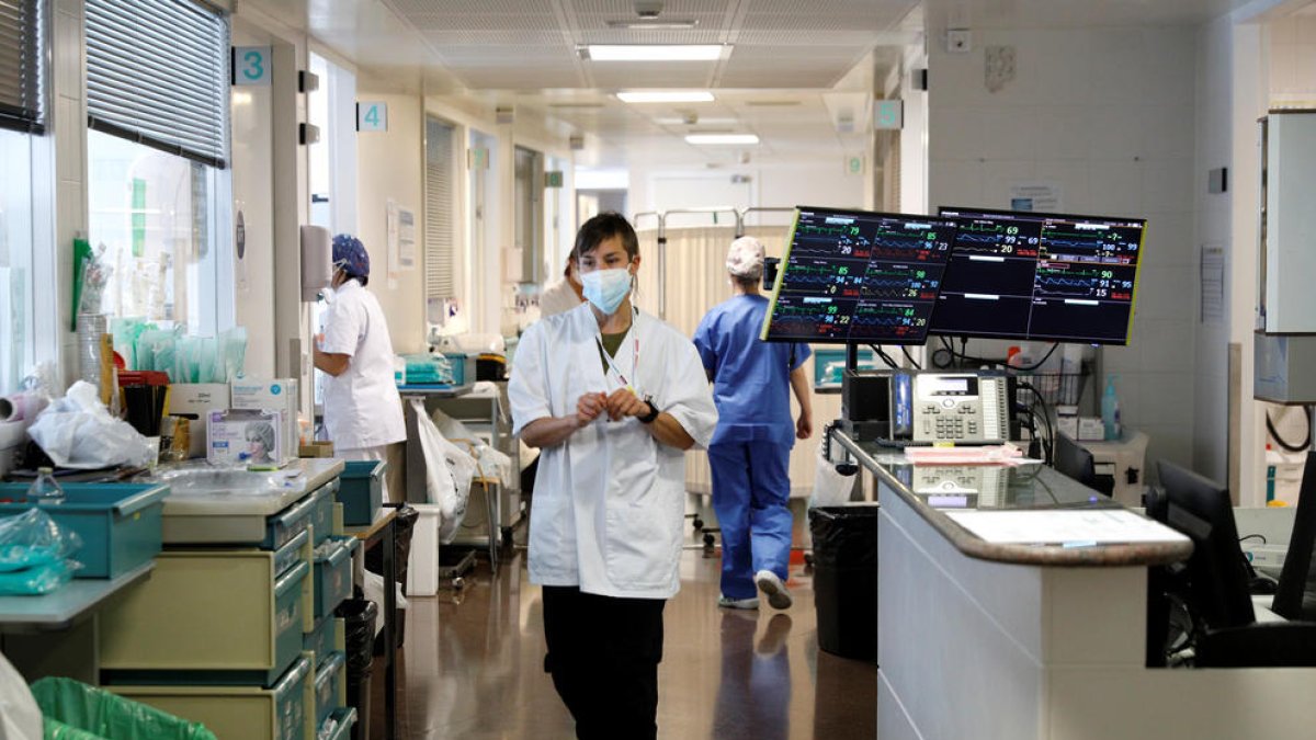 Professionals en un passadís de l'hospital.