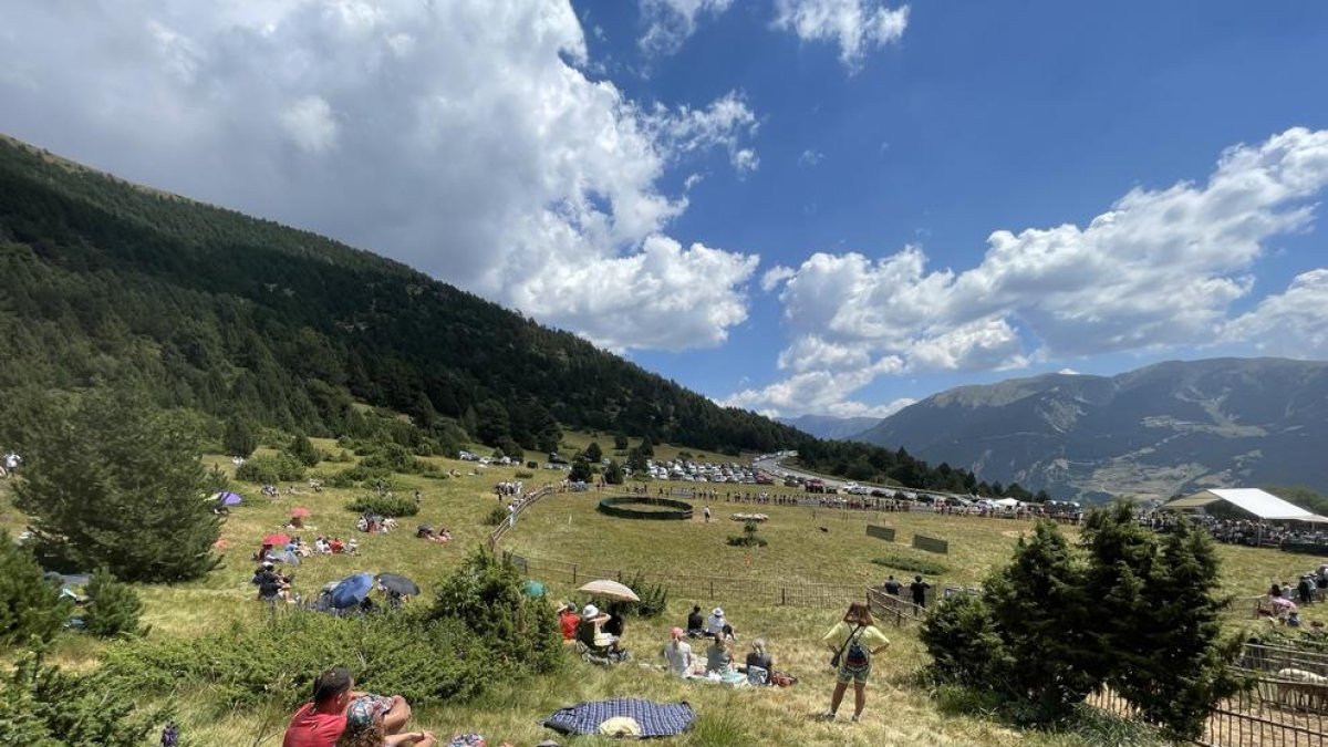 Una edició anterior del concurs de gossos d'atura de Canillo