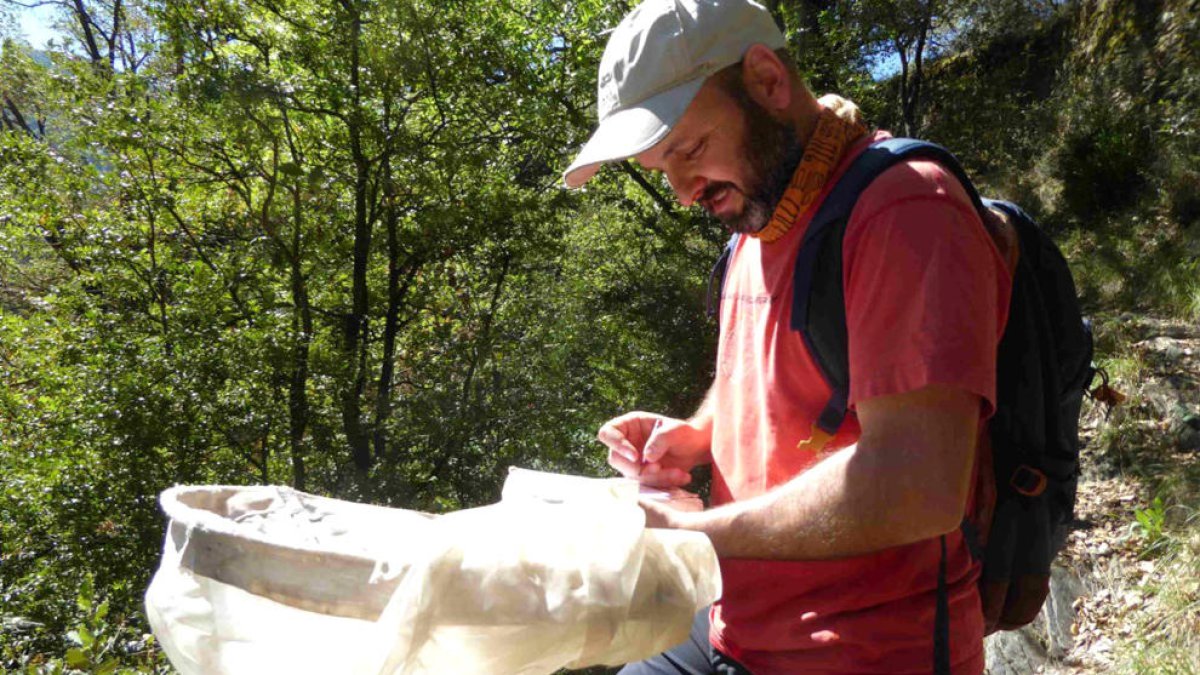 Els investigadors van dur a terme un treball de camp durant un any.