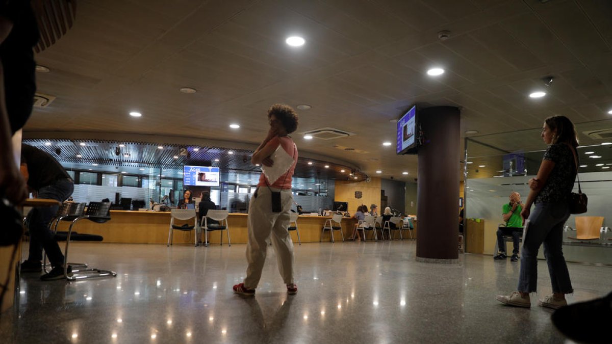 Servei de tràmits de Govern