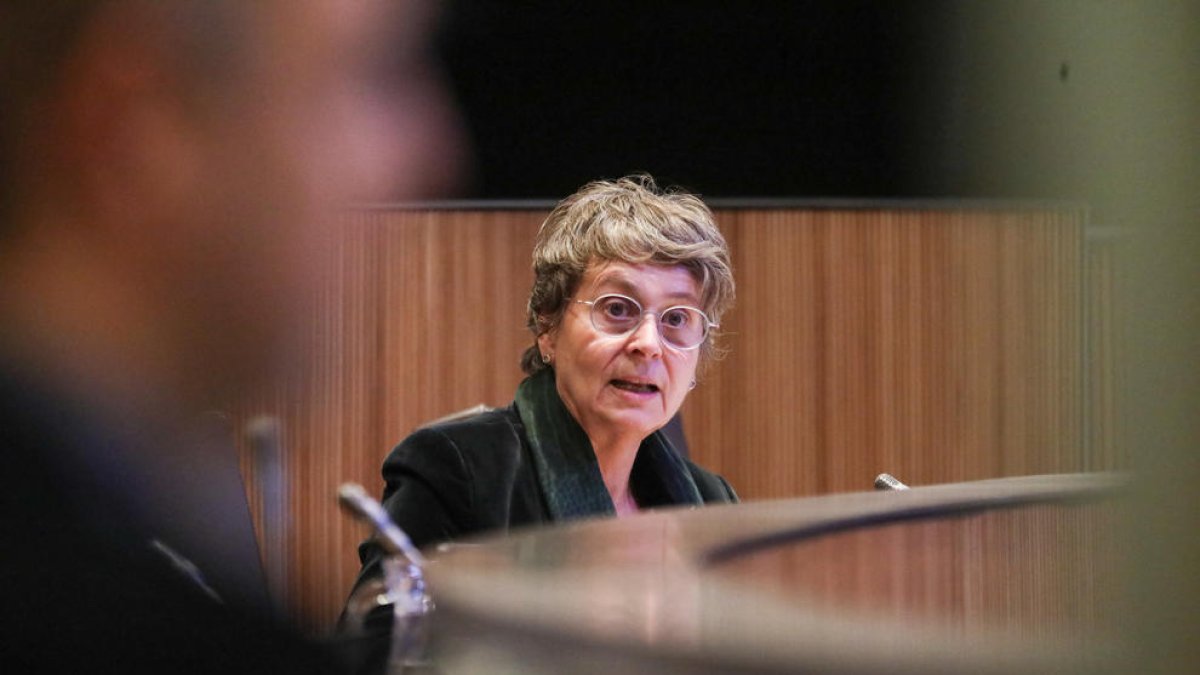 La socialdemòcrata Susanna Vela en una sessió al Consell General
