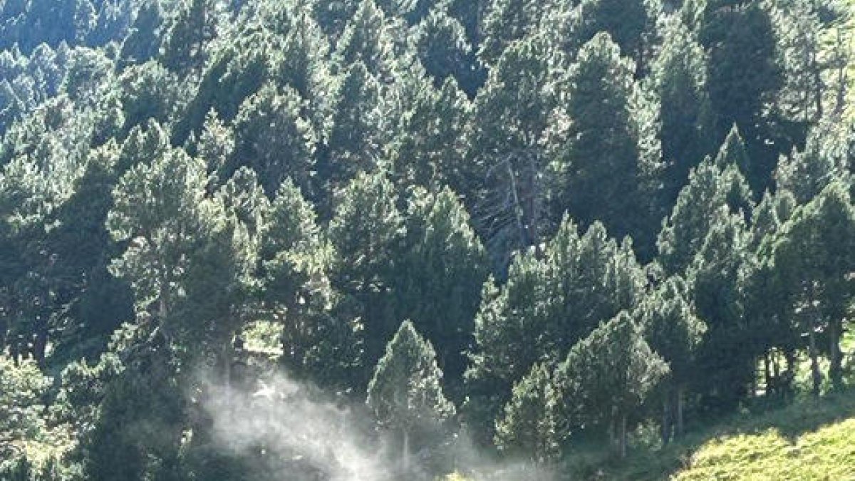 El fatal accident va passar a Incles.