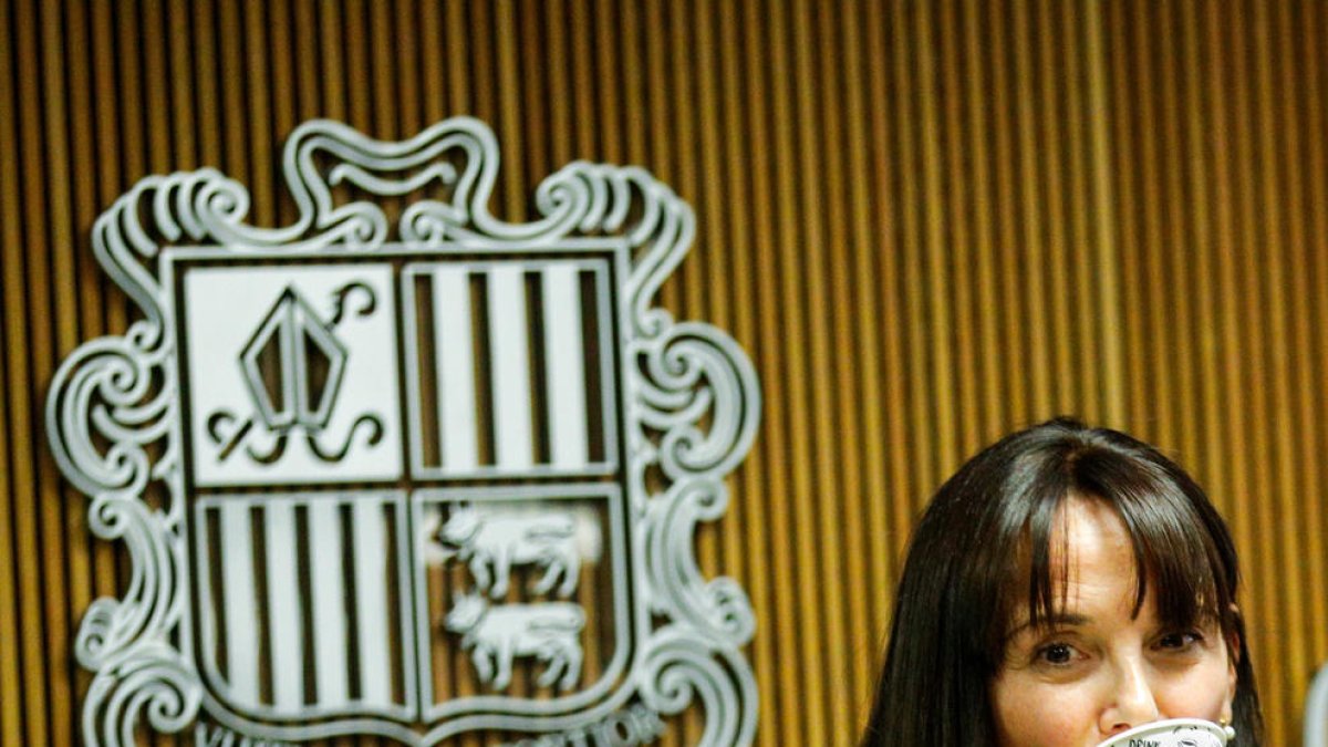 La ministra de Cultura, Mònica Bonell, al Consell General.