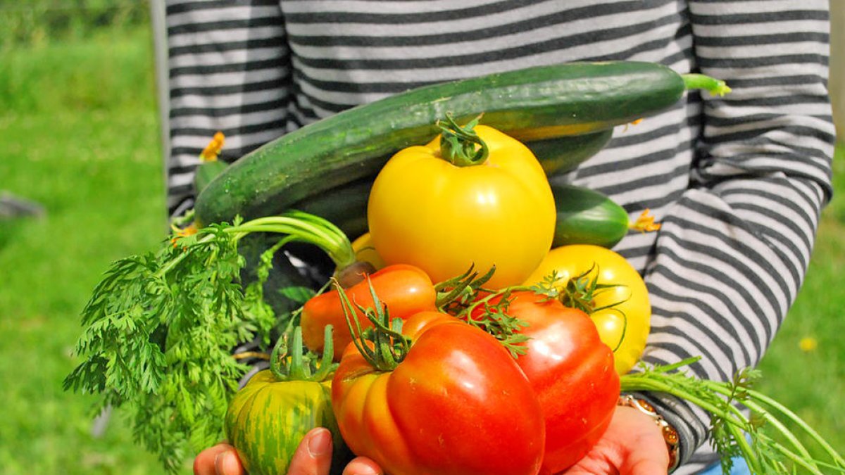 Aquesta opció té beneficis en la salut i el medi ambient