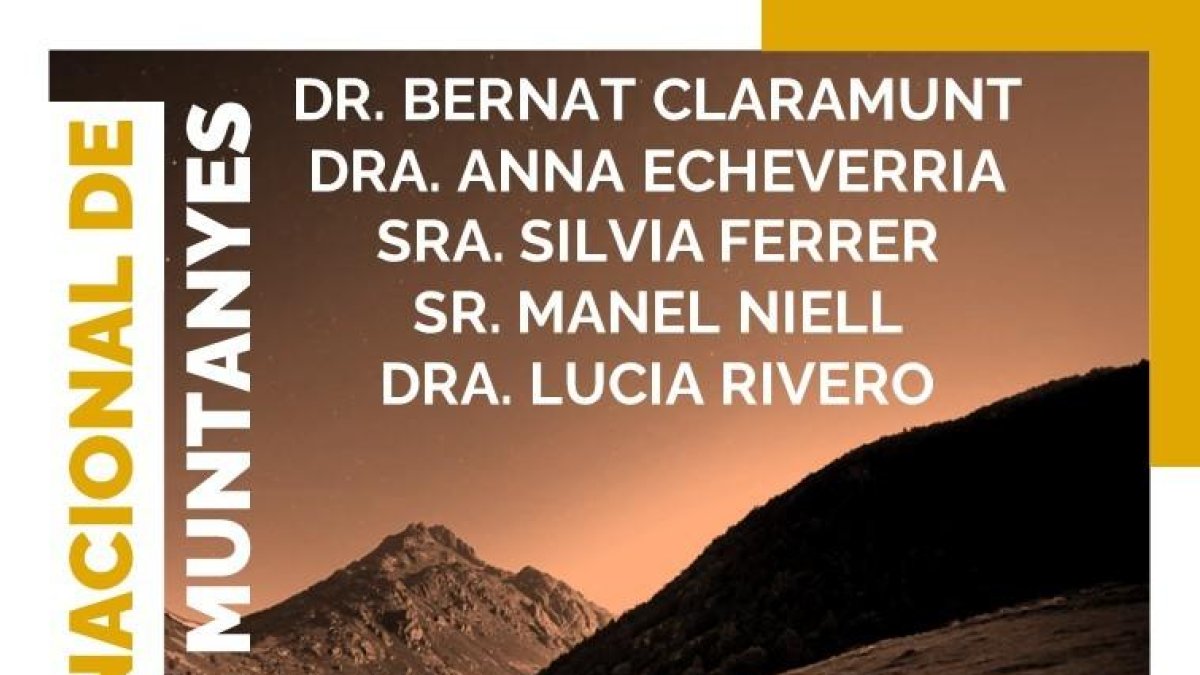 Cartell del Dia Internacional de les muntanyes