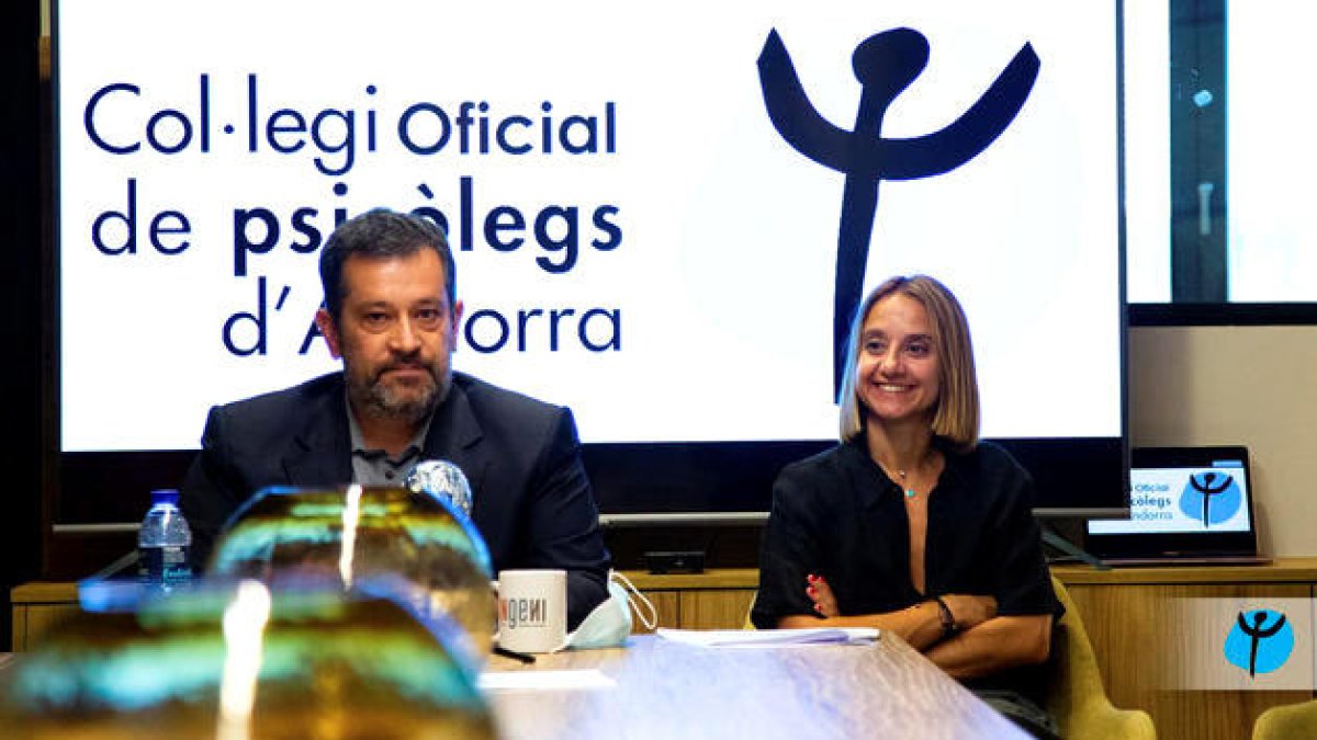 Fernández, president del Col·legi de Psicòlegs