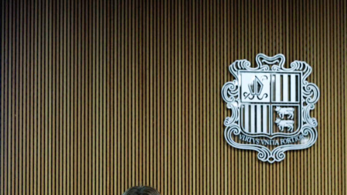 La ministra de Salut, Helena Mas, al Consell General.