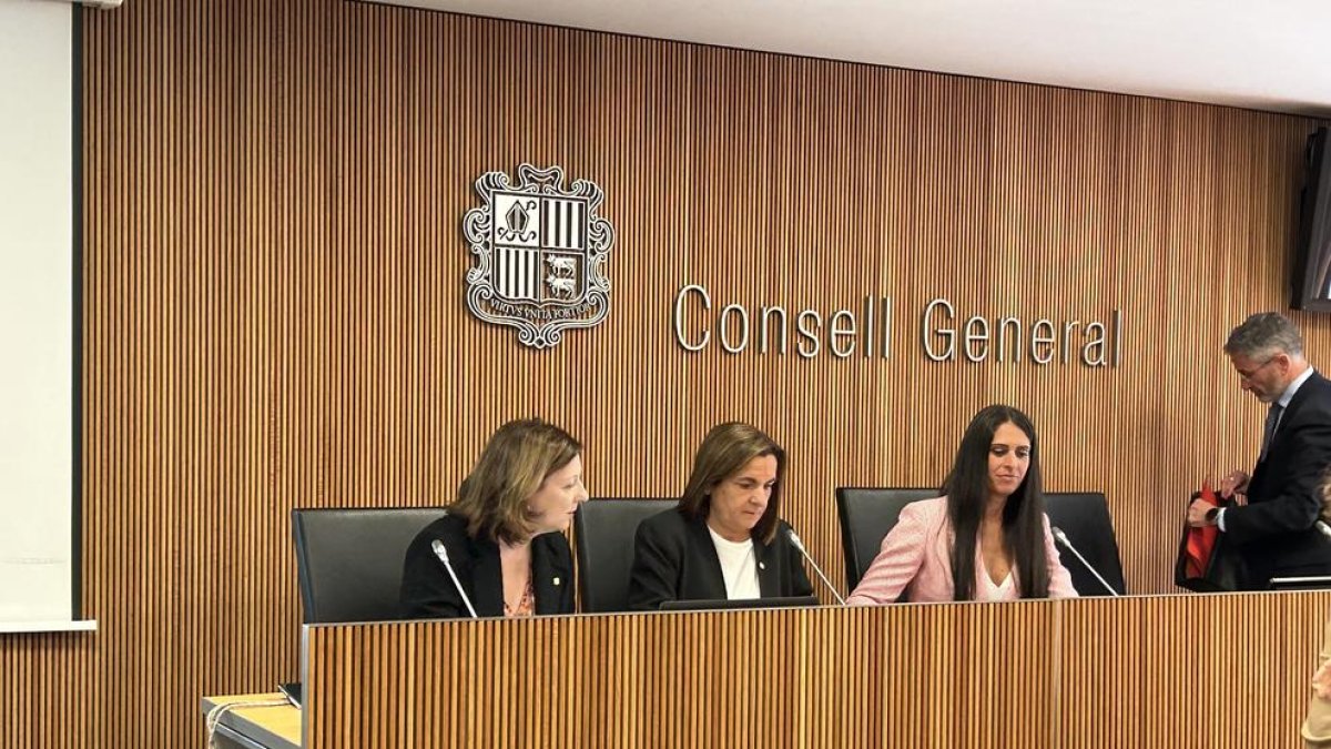 La ministra Trini Marín en la seva compareixença a la comissió legislativa d'Afers Socials