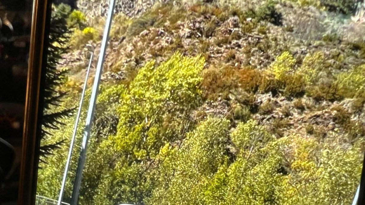 La motorista sent atesa a la via.