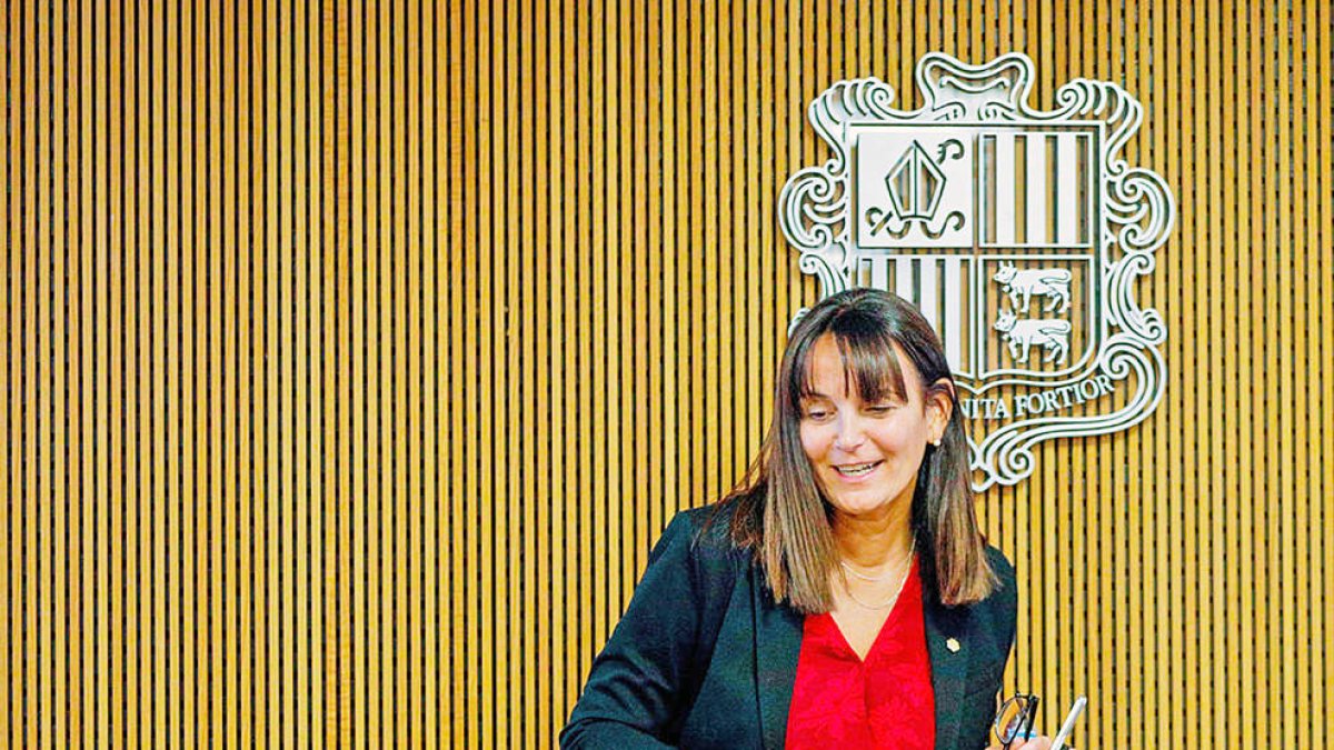 La ministra Mònica Bonell va presentar a la comissió legislativa el projecte de llei.