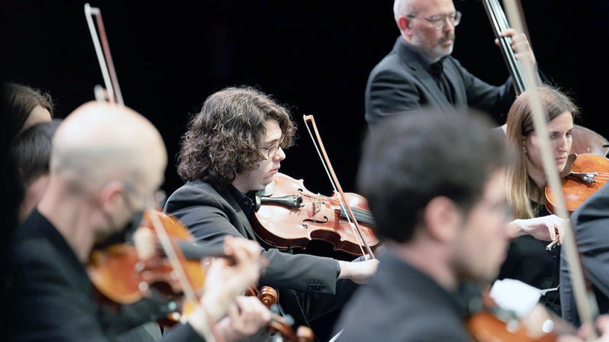 El músic durant una actuació.