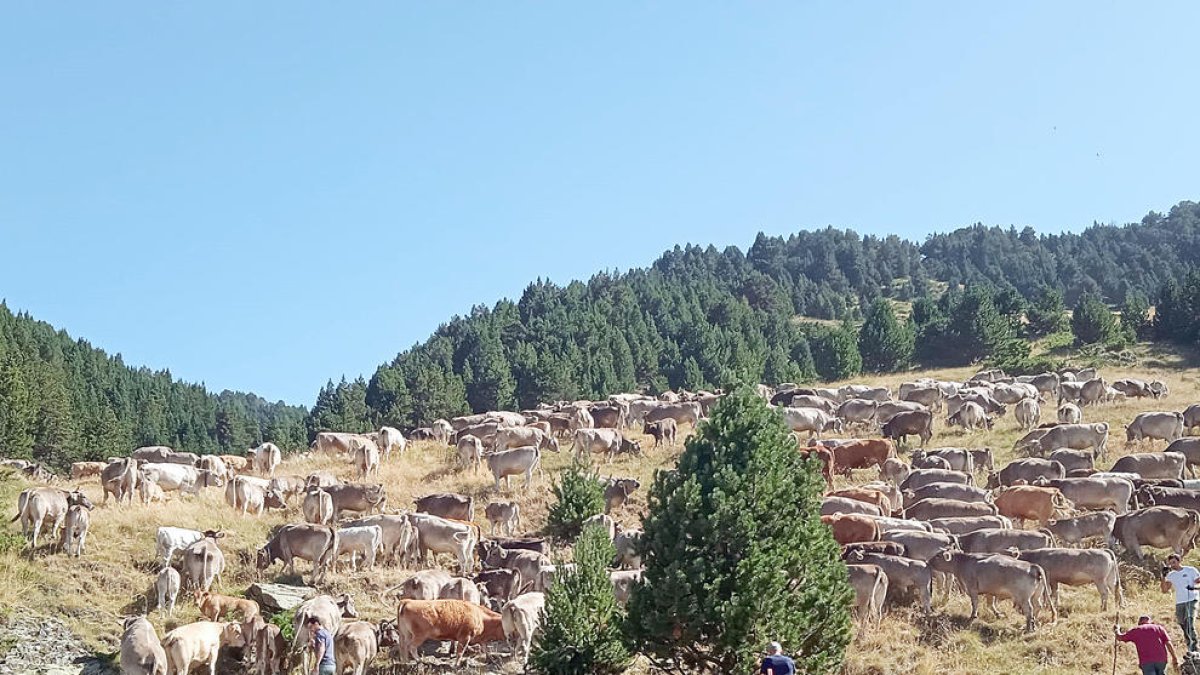 Pas de la vacada de Canillo.
