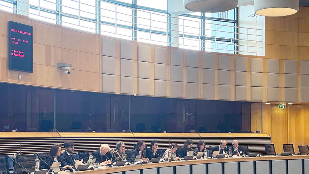 La delegació andorrana amb Martí i Bartumeu.