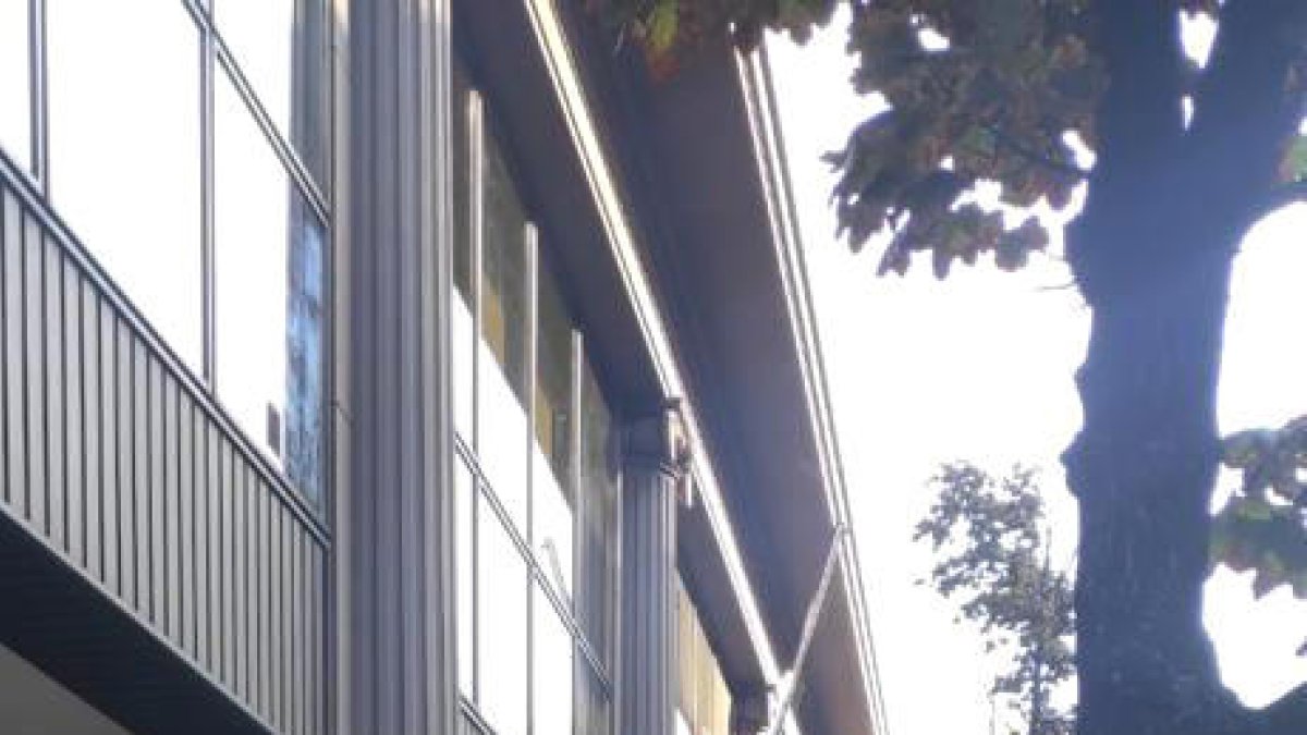 Destrosses causades per la topada