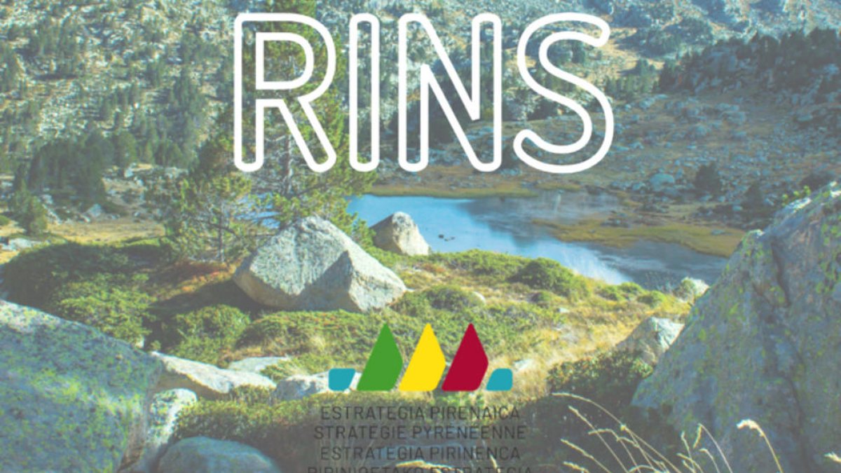 El cartell del projecte RINS.