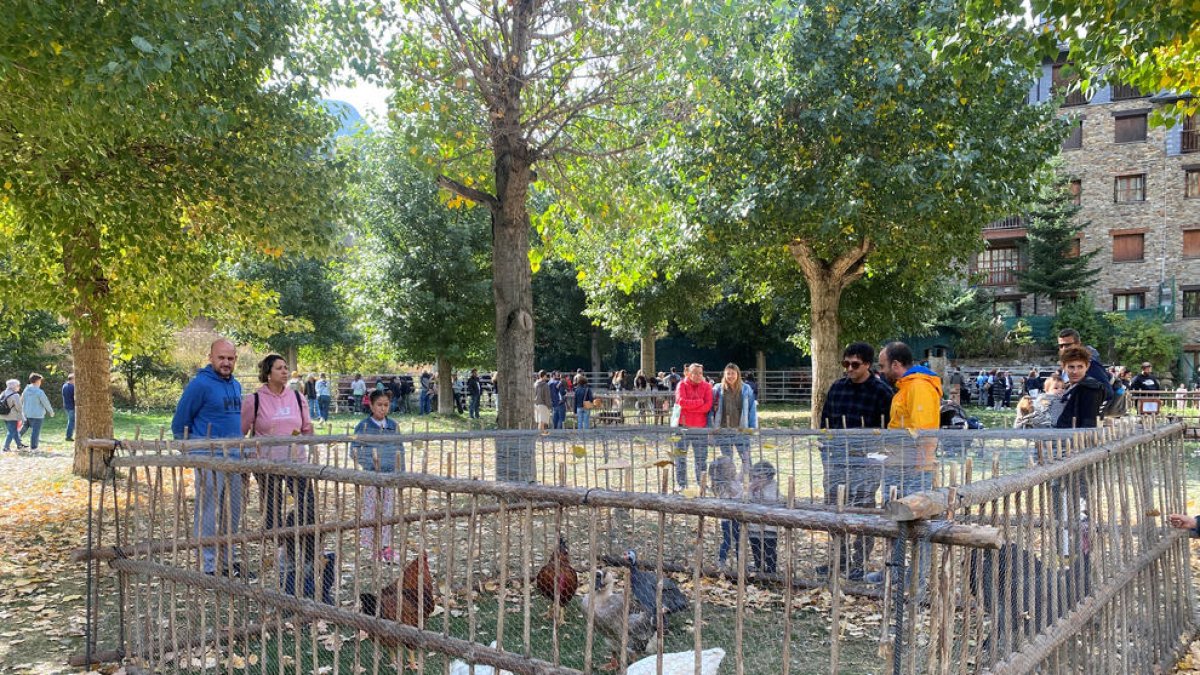 Animals que es van poder veure a la fira.