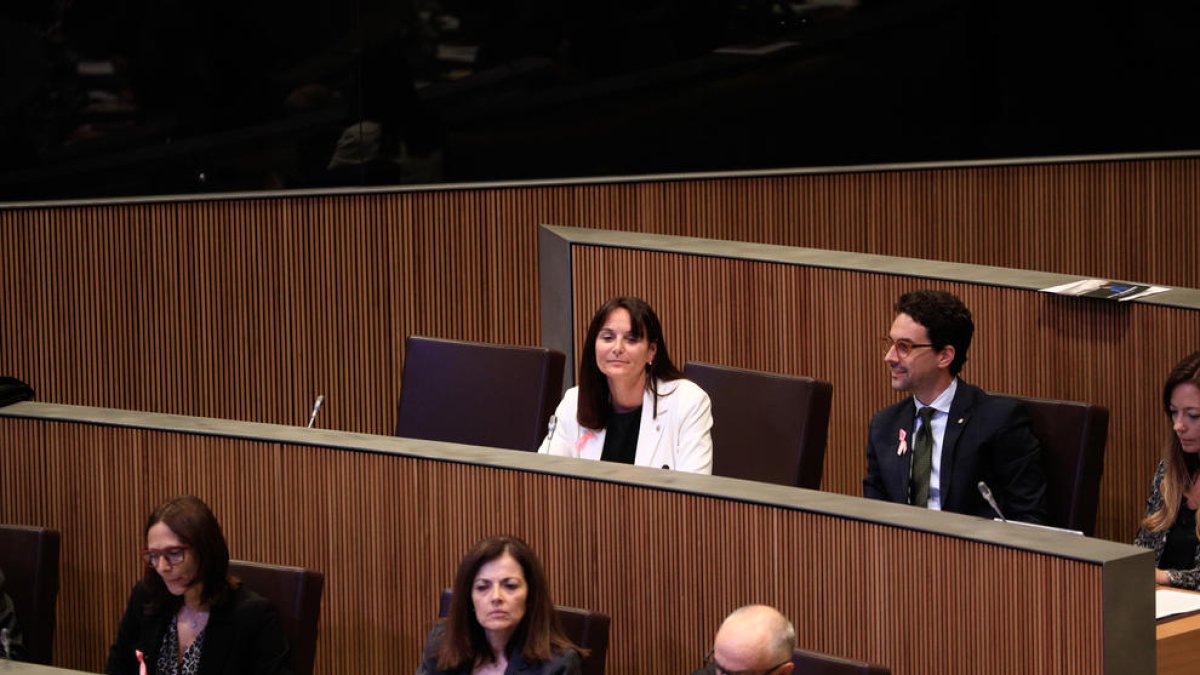 La ministra Mònica Bonell avui al Consell General