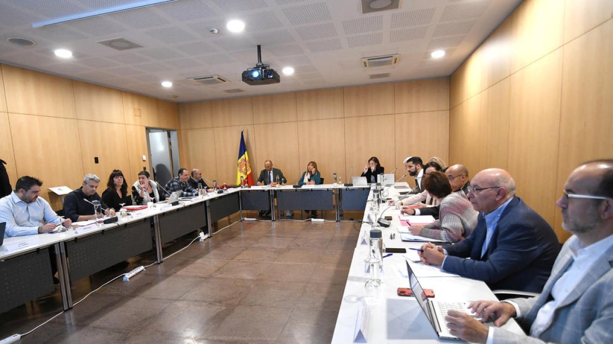 Els representants del CES en ple debat.