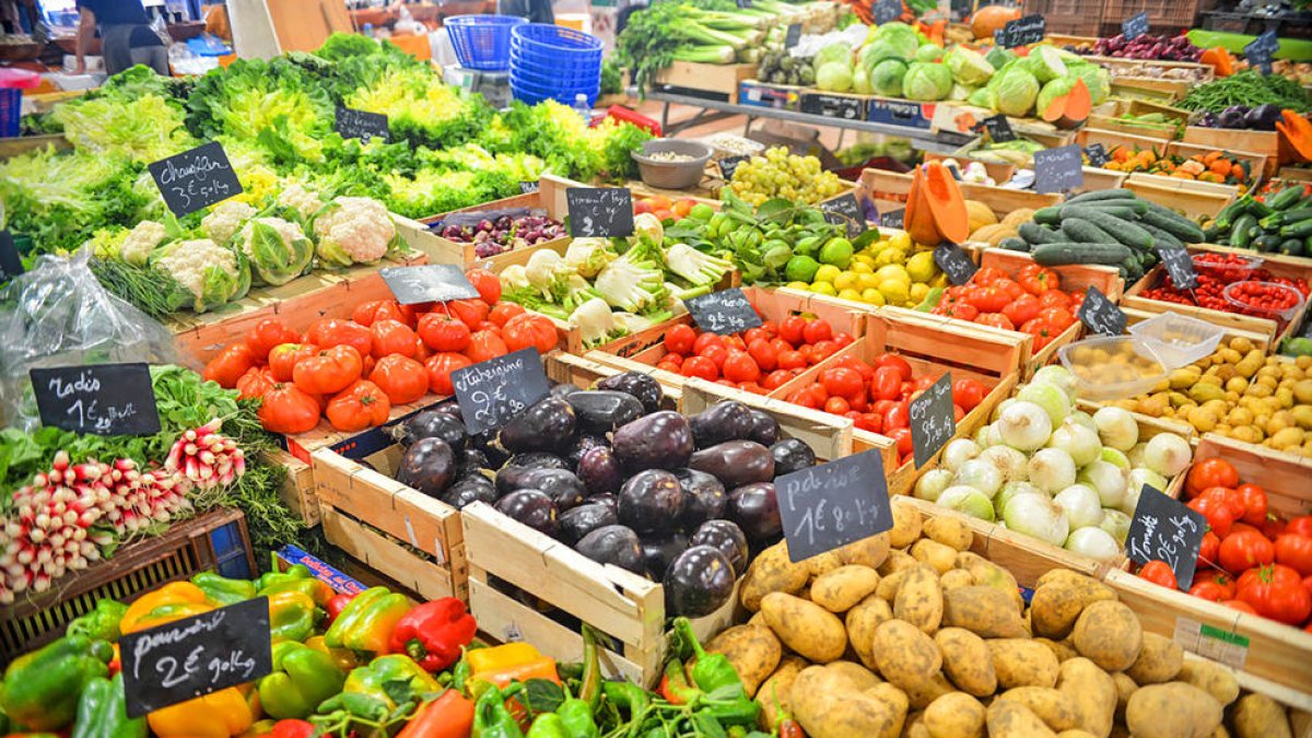 Hi ha molts mites i prejudicis sobre aquests models