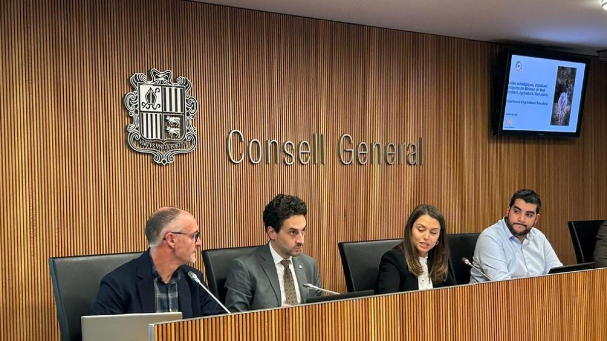 Guillem Casal en la comissió legislativa d'Economia