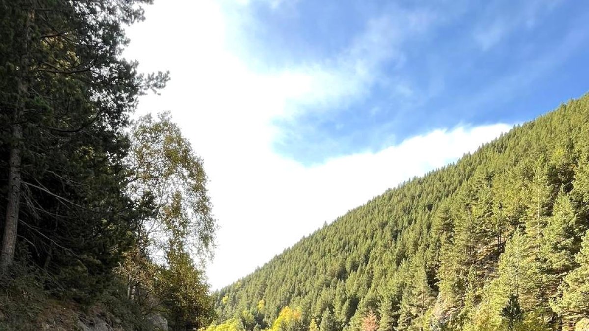 Una de les tanques que hi han col·locat.