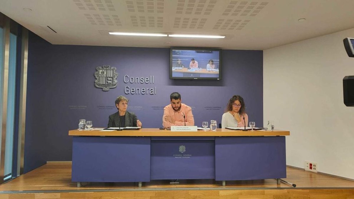 Els consellers generals del PS