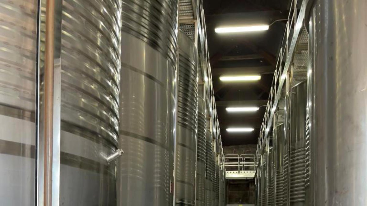 Ana Cerezo, Presidenta de l'Associació de Comerciants del Centre Històric