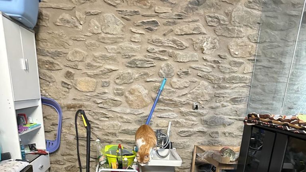 Imatge de l'interior de la gatera.