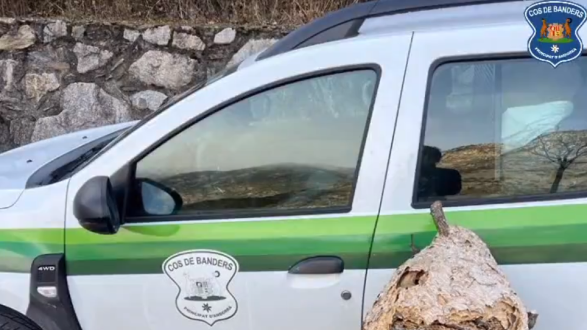 El niu retirat pel cos de banders