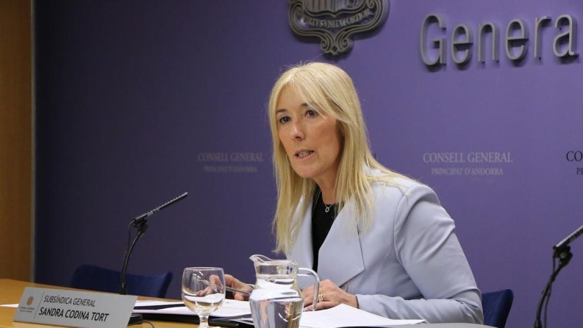 La subsíndica general, Sandra Codina, a la roda de premsa aquesta tarda
