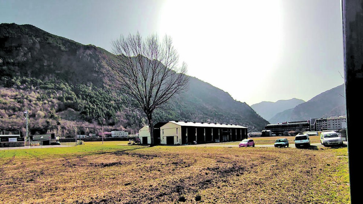 Els terrenys on es preveu fer el multifuncional i l'estadi.