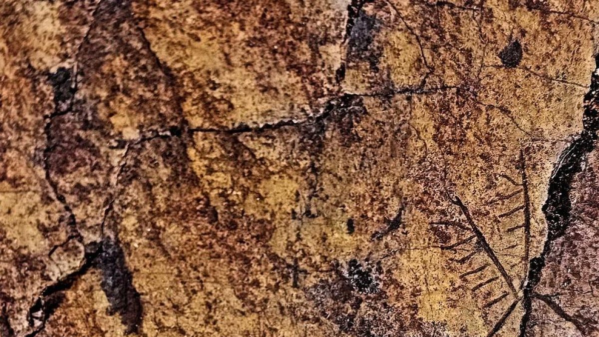 Representació del gravat rupestre prehistòric d'un cérvol