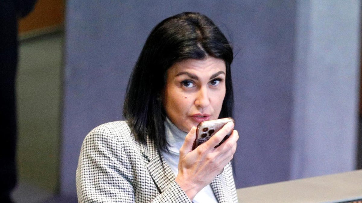 Montaner al Consell General.