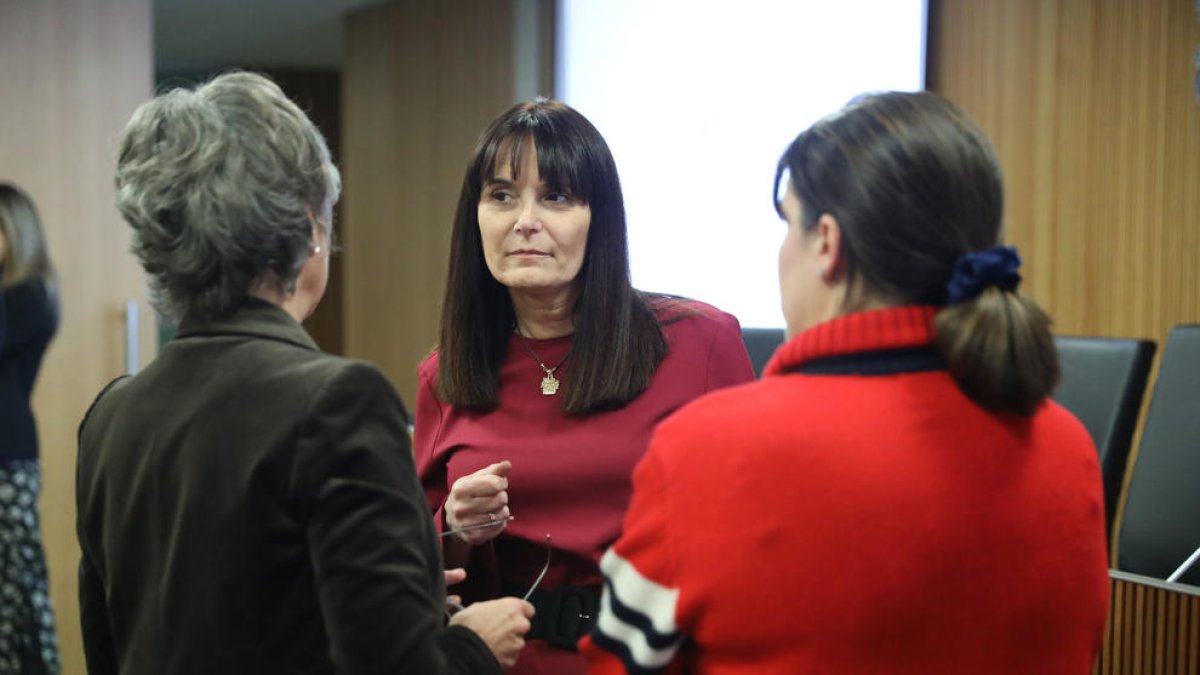 La ministra Mònica Bonell ha comparegut avui al Consell General