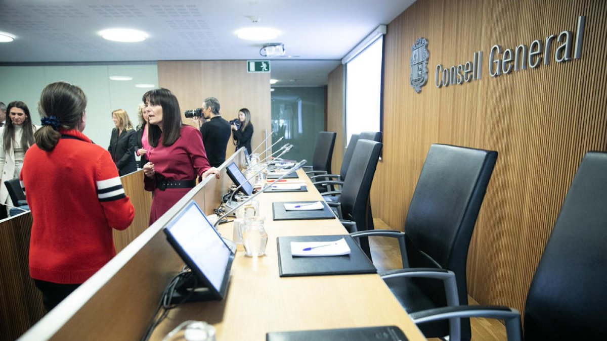 Compareixença de Mònica Bonell al Consell General