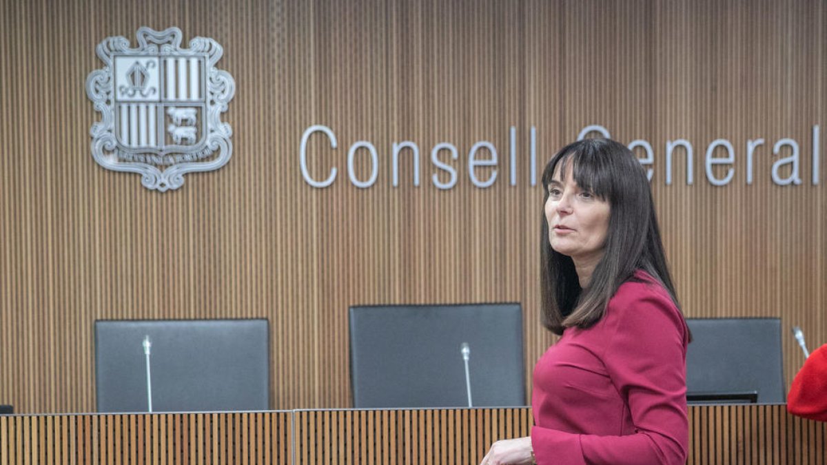 Bonell, abans de la seva compareixença del Consell General.