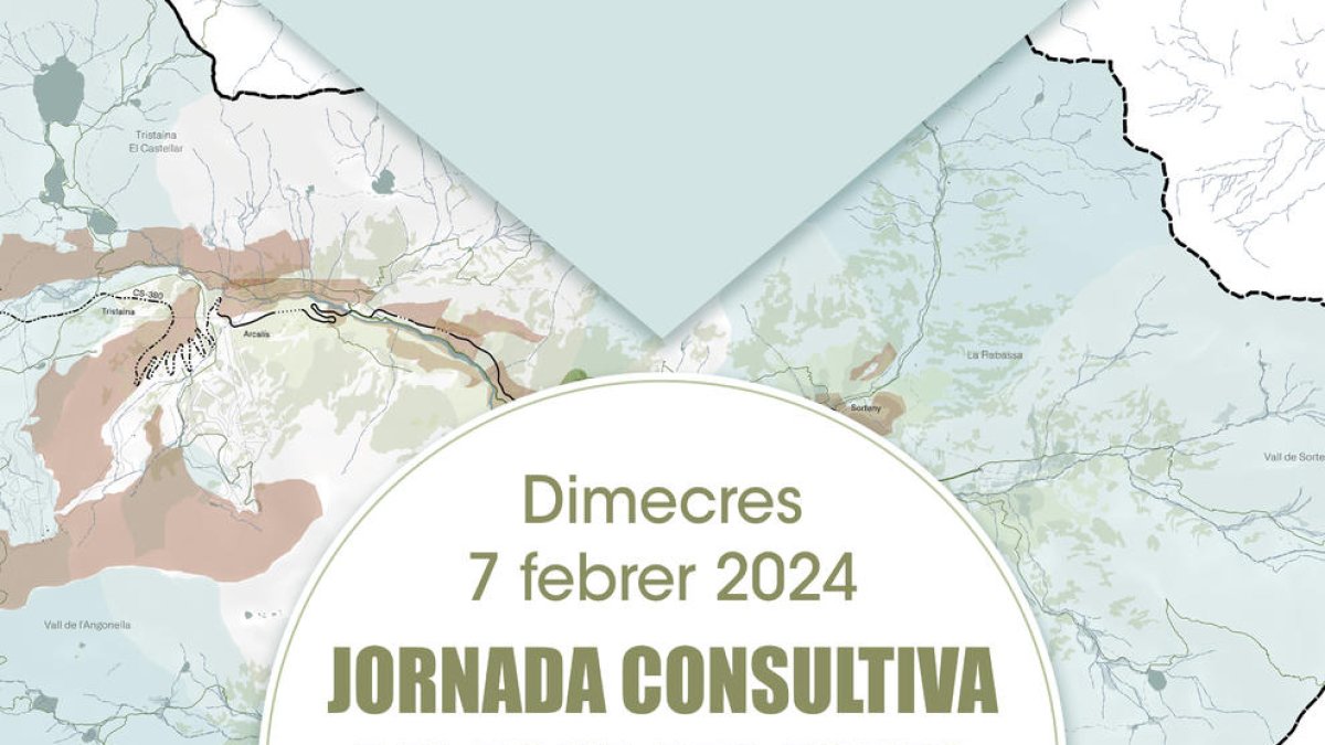 Cartell reunions del POUP