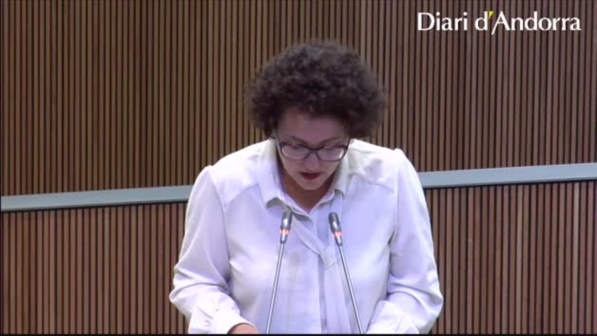 Rebutjada l'esmena de Liberals sobre la llei d'ocupació