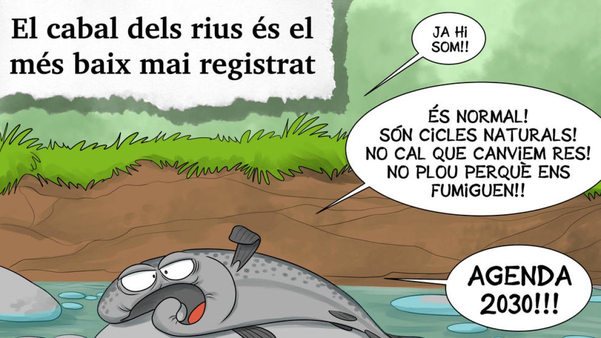 Planellades