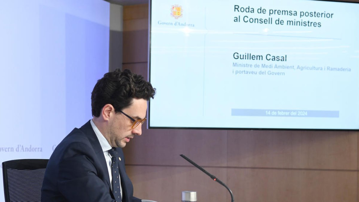 Casal en roda de premsa posterior al Consell de Ministres