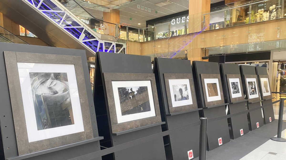 Exposició Jimena Potenza