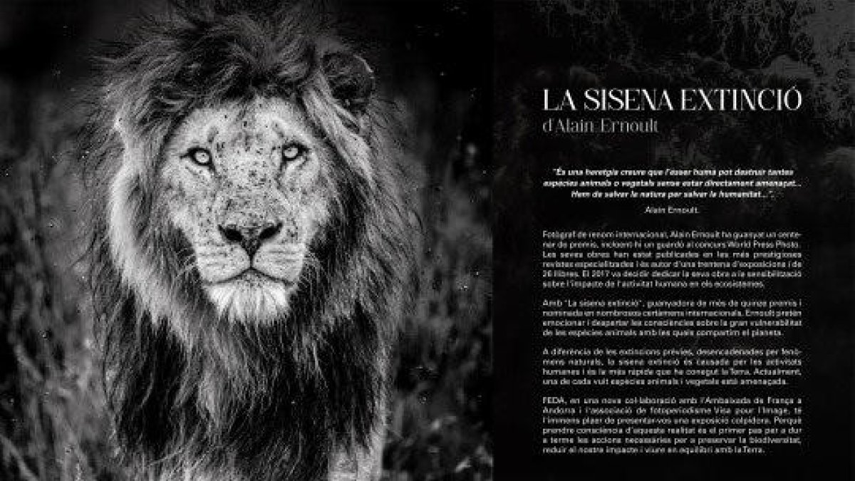 Exposició guiada a 'La sisena extinció'